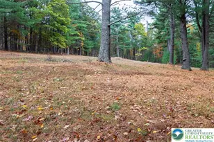 139 Johnny Bee Rd, Delaware Twp, PA 18328 - Photo 51