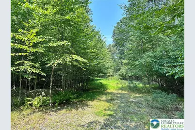 Private Drive #1C, Price Twp, PA 18332 - Photo 3