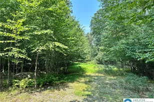 Private Dr, Price Twp, PA 18332 - Photo 3