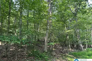 Timber Hill Rd, Price Twp, PA 18332 - Photo 5