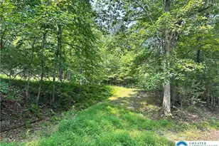 Timber Hill Rd, Price Twp, PA 18332 - Photo 3