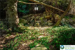 131 W Broadway, Jim Thorpe Boro, PA 18229 - Photo 53