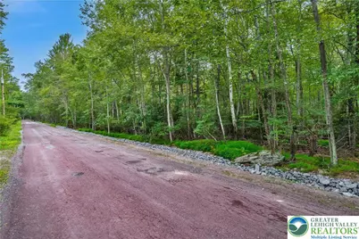 812 Beaver Run Road, Tobyhanna Twp, PA 18347 - Photo 3