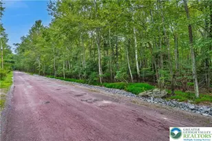 812 Beaver Run Rd, Tobyhanna Twp, PA 18347 - Photo 3