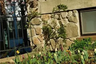 1225 SW Walnut St, Allentown City, PA 18102 - Photo 47