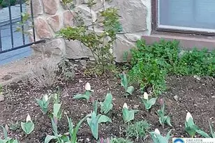 1225 SW Walnut St, Allentown City, PA 18102 - Photo 15