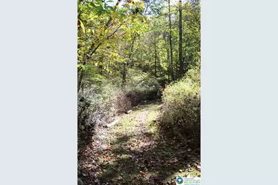 465 Pensyl Creek Road, Stroudsburg, PA 18360 - Photo 45