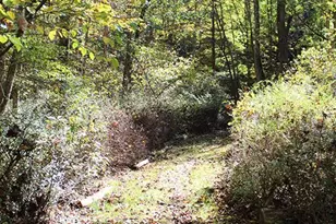 465 Pensyl Creek Rd, Stroudsburg, PA 18360 - Photo 45