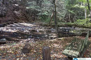 465 Pensyl Creek Rd, Stroudsburg, PA 18360 - Photo 41