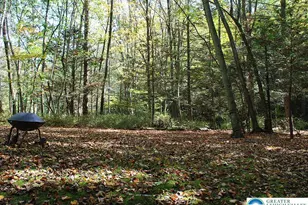 465 Pensyl Creek Rd, Stroudsburg, PA 18360 - Photo 43