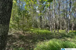 Drake Dr, Penn Forrest, PA 18229 - Photo 5