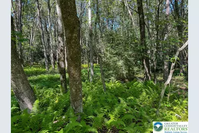 Drake Drive, Penn Forrest, PA 18229 - Photo 1