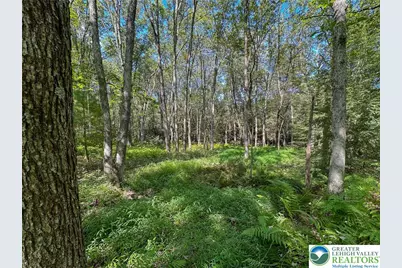 Drake Drive, Penn Forrest, PA 18229 - Photo 3