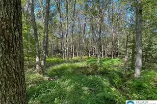 Drake Dr, Penn Forrest, PA 18229 - Photo 3