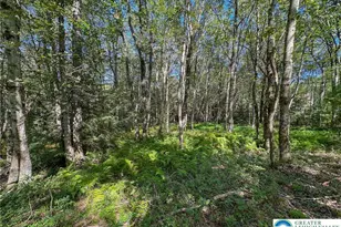 Drake Dr, Penn Forrest, PA 18229 - Photo 7