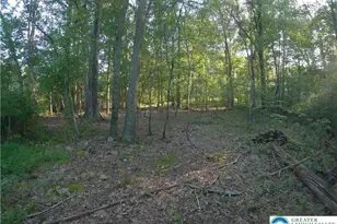 Weaver Ln, Lower Saucon Township, PA 18055 - Photo 7