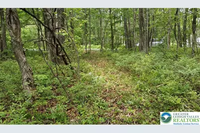 0 Cold Spring Drive, Penn Forrest, PA 18229 - Photo 7