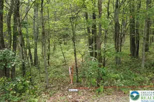 0 Cold Spring Dr, Penn Forrest, PA 18229 - Photo 5