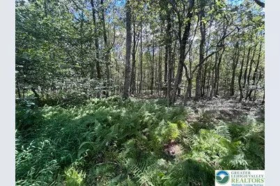 Lot 20Alas Piney Woods Drive, Penn Forrest, PA 18229 - Photo 1