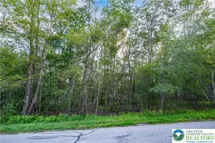 6 Orono Dr, Coolbaugh Twp, PA 18347 - Photo 3