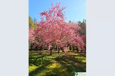 3585 Fairyland Road, Franklin Twp, PA 18235 - Photo 91