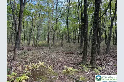 14 Berry Run Drive, Penn Forrest, PA 18229 - Photo 5