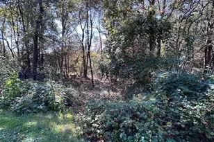 Lot 731 Yellow Run Rd, Penn Forrest, PA 18229 - Photo 3