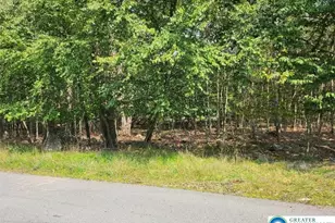 7036 Vista Dr, Coolbaugh Twp, PA 18466 - Photo 3