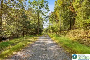 Spring Run Ln, Price Twp, PA 18326 - Photo 3