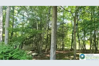 Eagle Path, Lehman Twp, PA 18324 - Photo 21