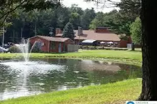 Eagle Path, Lehman Twp, PA 18324 - Photo 23