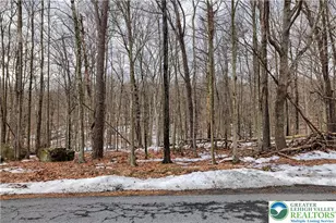 Eagle Path, Lehman Twp, PA 18324 - Photo 7