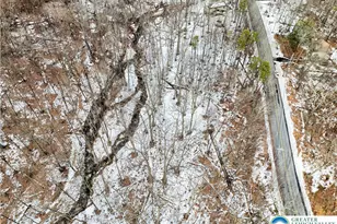 Eagle Path, Lehman Twp, PA 18324 - Photo 13