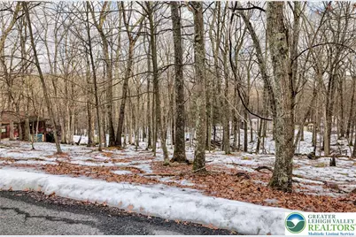 Warbler Court, Lehman Twp, PA 18324 - Photo 5