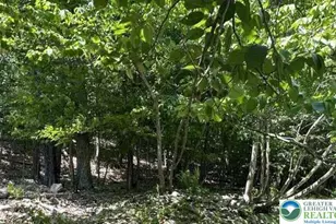 Warbler Ct, Lehman Twp, PA 18324 - Photo 13