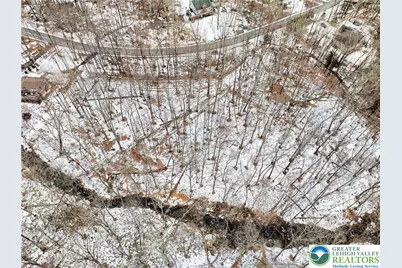 Pocono Mountain Lake Drive, Lehman Twp, PA 18324 - Photo 7