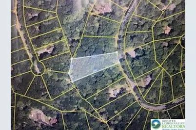 Pocono Mountain Lake Drive, Lehman Twp, PA 18324 - Photo 11