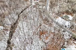 Pocono Mountain Lake Dr, Lehman Twp, PA 18324 - Photo 17