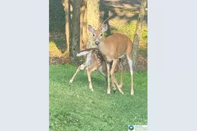 Pocono Mountain Lake Drive, Lehman Twp, PA 18324 - Photo 1