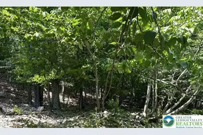 Pocono Mountain Lake Drive, Lehman Twp, PA 18324 - Photo 25