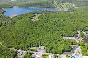 Pocono Mountain Lake Dr, Lehman Twp, PA 18324 - Photo 7