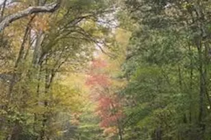 Pocono Mountain Lake Dr, Lehman Twp, PA 18324 - Photo 5