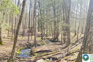 Tinkwig Dr, Hawley, PA 18428 - Photo 9