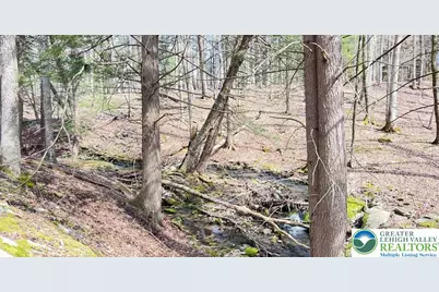 Tinkwig Drive, Hawley, PA 18428 - Photo 11