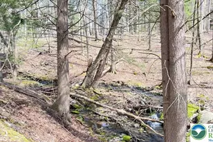 Tinkwig Dr, Hawley, PA 18428 - Photo 11