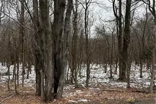 767 Hidden Lake Dr, East Stroudsburg, PA 18302 - Photo 5