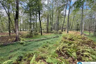 N Benders Dr, Moore Township, PA 18014 - Photo 9