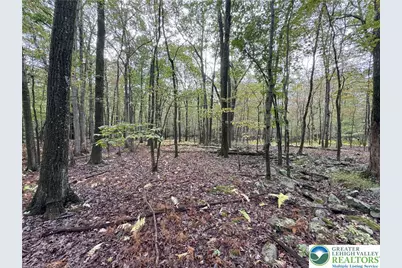 N Benders Drive, Moore Township, PA 18014 - Photo 5