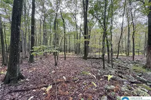 N Benders Dr, Moore Township, PA 18014 - Photo 5