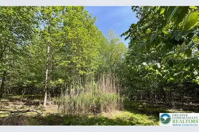 7893 Leaser Road, Lynn Township, PA 19529 - Photo 1